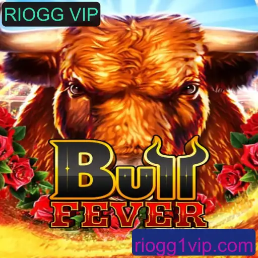 BullFever: A Excitante Aventura no Mundo RIOGG VIP